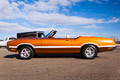 1971 Olds Cutlass Convertible 442 Tribute