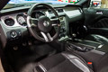 2011 Iron Edition Mustang GT